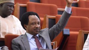 Shehu-sani-pic