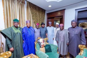 Tinubu meets Jonathan