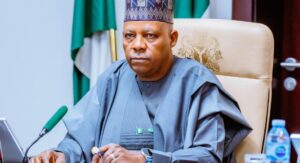 Vice-President-Kashim-Shettima