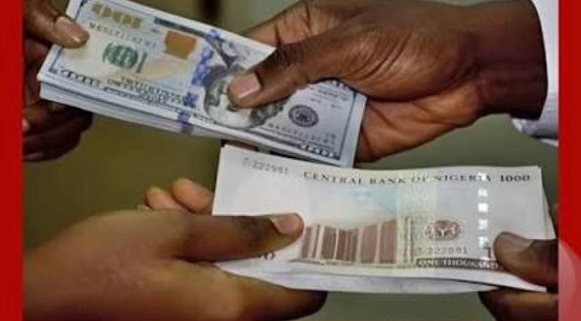 WhatsApp-Image-2026-03-02-at-09.51.04