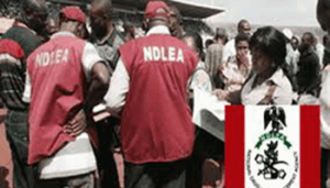 ndlea-operatives-1