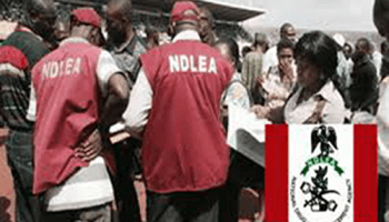 ndlea-operatives-1